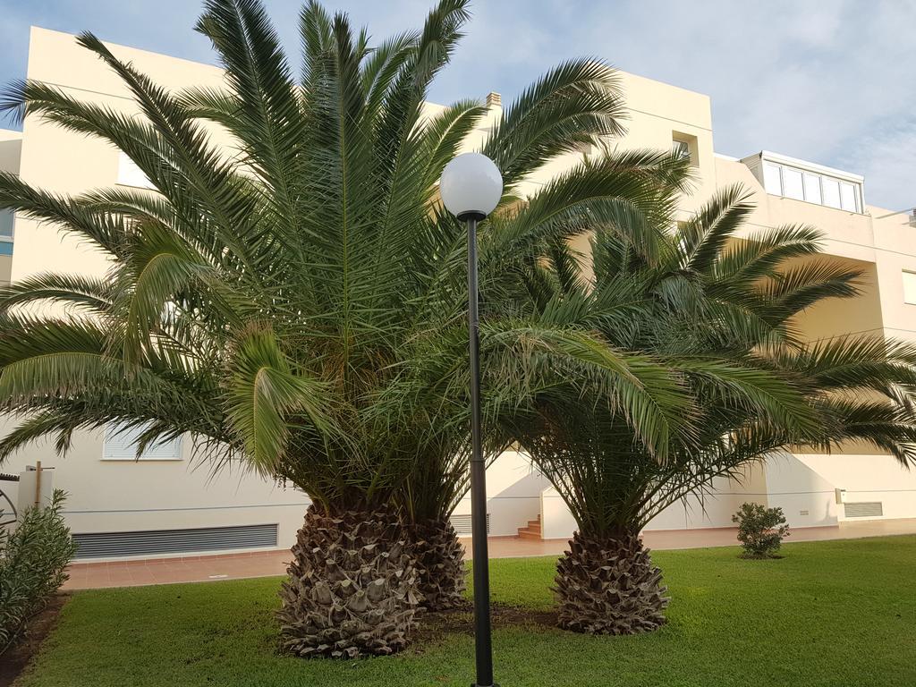 Alondras Playa Denia Apartment Екстериор снимка